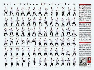 Tai Chi Chuan Short Form Poster by Roger Cotgreave Best Martial Arts, Self Defense Martial Arts ...