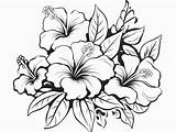 Hawaiian Flower Coloring Fun  Page sketch template