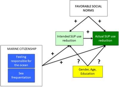 Frontiers | Enhancing marine citizenship as a strategy to promote the reduction of single-use ...