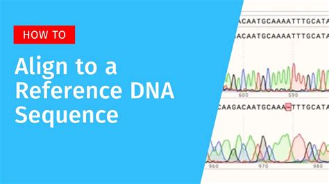 Aligning to a Reference DNA Sequence in SnapGene - YouTube