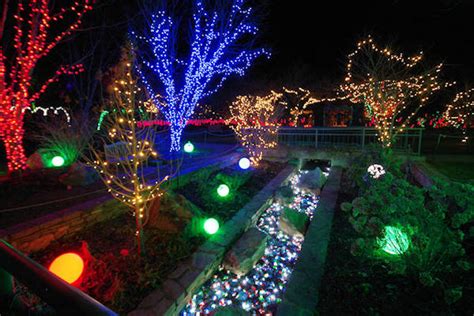 Winter Lights at NC Arboretum