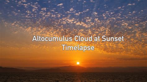 Altocumulus Cloud at Sunset Timelapse (4K) - YouTube