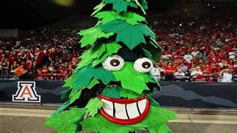 Stanford Tree Football