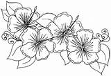 84  Hibiscus Flower Coloring Page sketch template