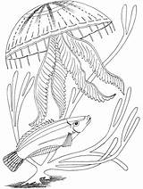Free Printable Ocean Coloring Pages For Kids sketch template