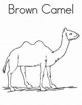 Free Printable Camel Coloring Pages For Kids sketch template
