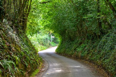 Mid Devon : Country Lane © Lewis Clarke cc-by-sa/2.0 :: Geograph Britain and Ireland
