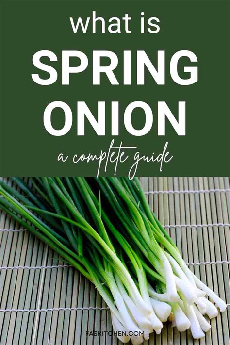 Spring Onion 101: Nutrition, Benefits, How To Use, Buy, Store | Spring Onion: A Complete Guide ...