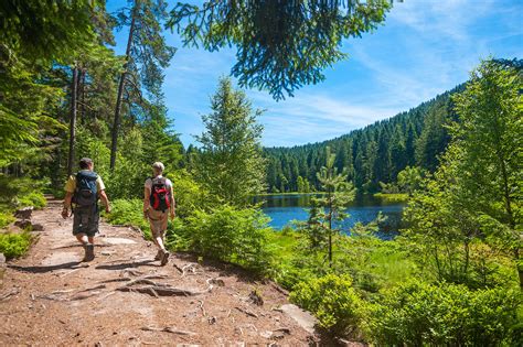 Best hikes in Germany - Lonely Planet