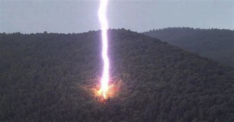 Moment huge lightning bolt strikes as tree which explodes 'into a million pieces' - World News ...