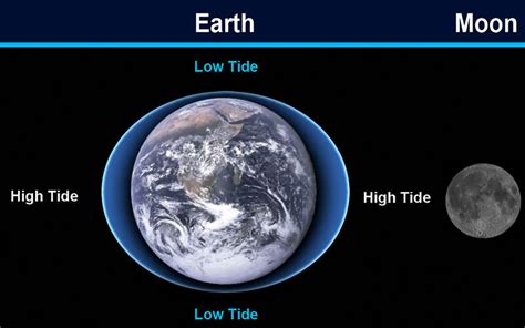 Tides ( Read ) | Earth Science | CK-12 Foundation