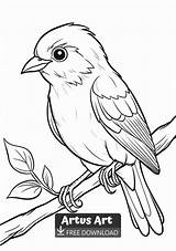 Tanager Coloring Page  Bird coloring Pages Drawings sketch template
