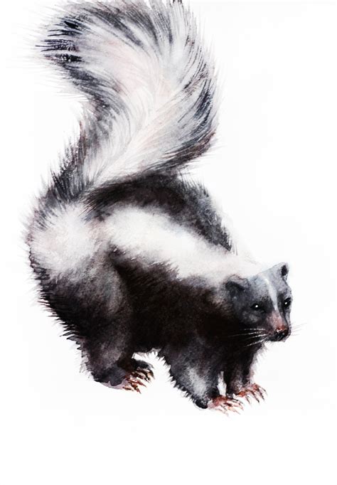 Skunk Art Print Watercolor Painting Original Nursery Wall Art - Etsy