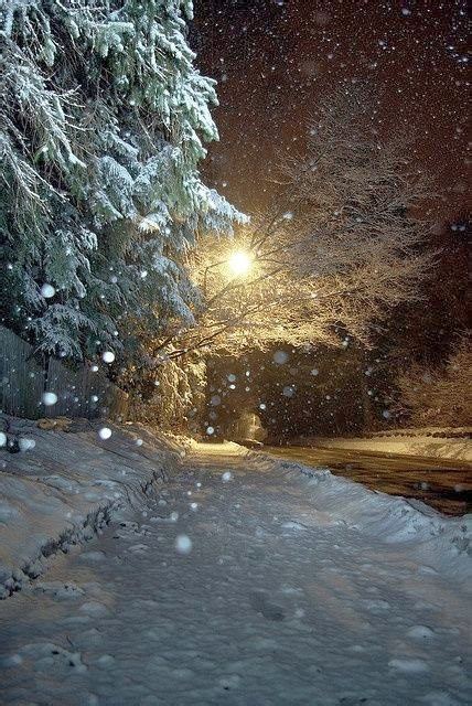 Falling Snow by Night | A1 Pictures