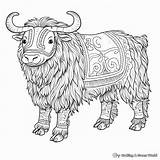 Yak Coloring Pages  Free & Printable sketch template