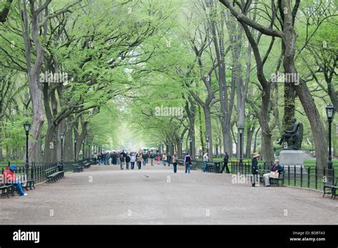 People walking in Central Park, New York City Stock Photo - Alamy