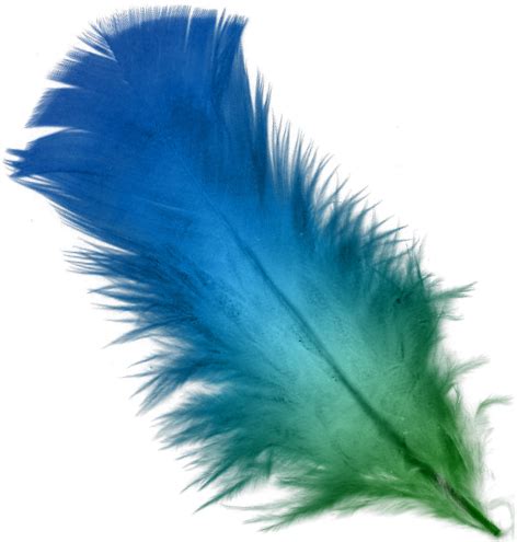 File:Blue and Green feather.png