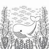 Ocean Scene With Whale coloring Page  Download Print Or Color Online sketch template