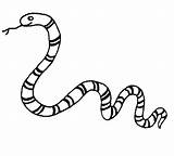 Garter Snake Drawing At GetDrawings  Free Download sketch template