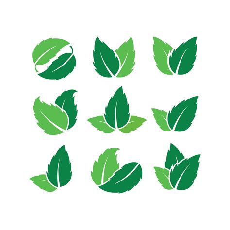 Set of Leaf logo design template 7558981 Vector Art at Vecteezy