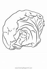 Lettuce 1 Coloring Page For Kids  Free Printable sketch template