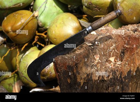 knife and tender coconut Stock Photo - Alamy