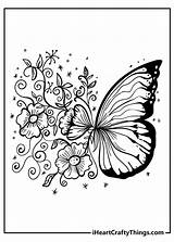 Beautiful Butterfly Adult Coloring Pages sketch template