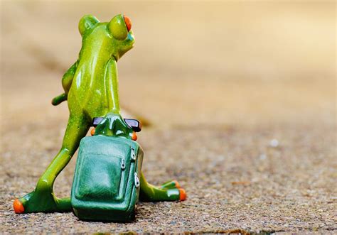 Free photo: Frog, Farewell, Travel, Luggage - Free Image on Pixabay - 897420