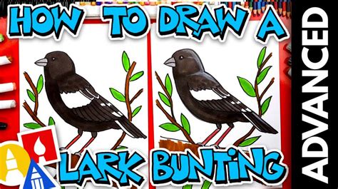 Drawing Art For Kids Hub Birds - How To Draw A Blue Jay Video ...