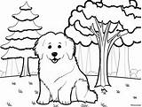 Great Pyrenees Coloring Page  sketch template