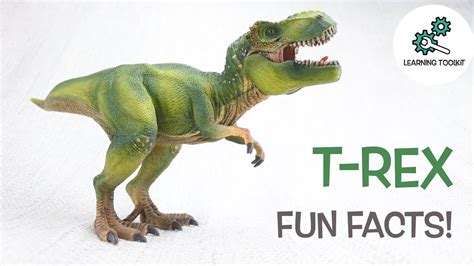 T-REX FACTS! |Fun & Educational | Dinosaurs For Kids | Best Dinosaur Facts - YouTube