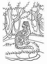 20  Jaguar Coloring Pages Free Printable PDF & Online sketch template