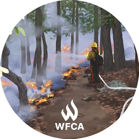 The Pros and Cons of Prescribed Burns | WFCA