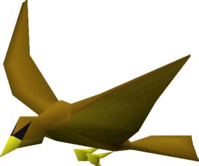 Copper longtail - OSRS Wiki