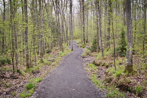 Exploring Hiking Trails Along Highway 60 In Algonquin Park - Suburban ...