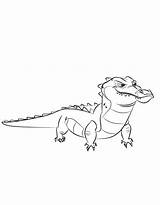 Lion Guard Coloring Pages Free Printable PDF sketch template