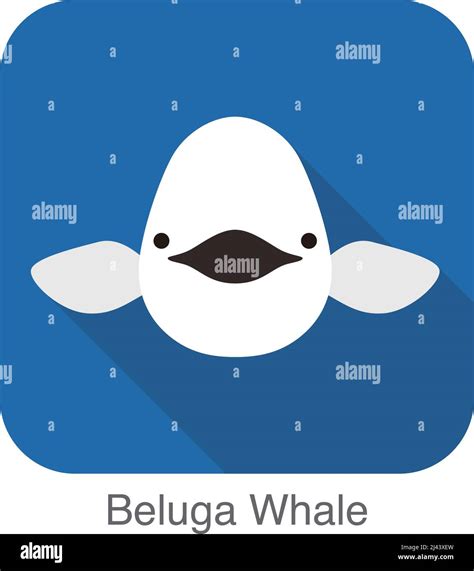 Beluga whale face flat icon vector illustration Stock Vector Image ...