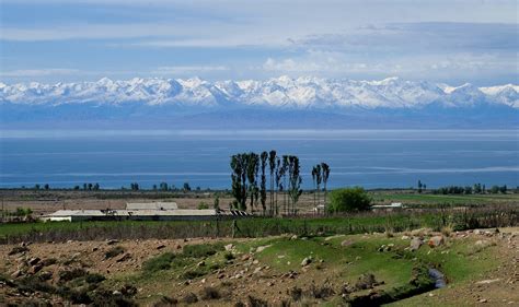 Winter counts of waterfowls on Issyk-Kul Lake in 2020 - Holarctic bridge