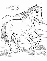 50 Horse Coloring Pages Free Printable Sheets  coloring sketch template