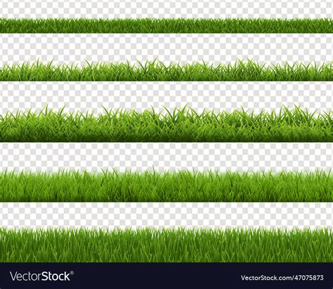 Grass border set with isolated transparent Vector Image