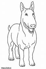 Bull Terrier Happy coloring Page sketch template