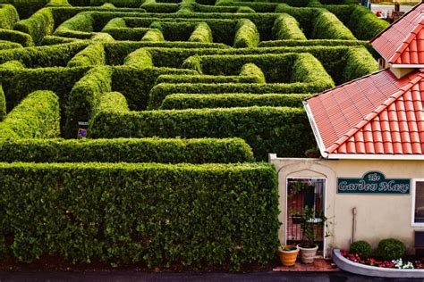 Garden Mazes and Labyrinths | HGTV