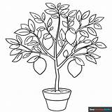 Free Printable Tree Coloring Pages For Kids sketch template