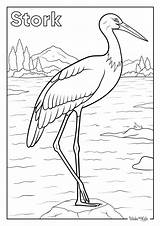 Stork Coloring Pages Free Printable PDFs  WakeTheKids sketch template