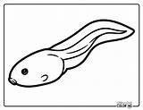 Tadpole Coloring Pages Free PDF Printables  Simply Love sketch template
