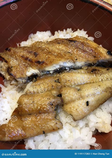 Japanese Eel rice stock image. Image of barbecue, delicious - 119117283