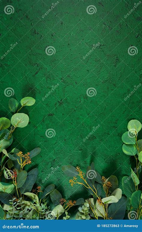 Dark Green Aesthetic Nature Theme Creative Layout Flat Lay Background. Stock Image - Image of ...