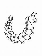 Caterpillar Printable coloring Page  Download Print Or Color Online sketch template