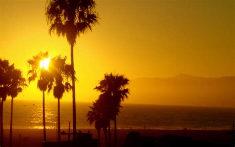Free download 49] Venice Beach California Wallpaper on [1920x1200] for your Desktop, Mobile ...