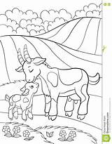 Mountain Goat Coloring Pages sketch template